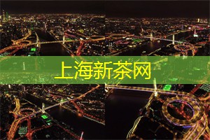 探索魔都与诗意的夜间文学空间